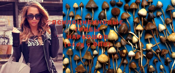 jwh Бугульма