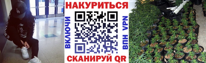 площадка телеграм Шадринск МАРИХУАНА план